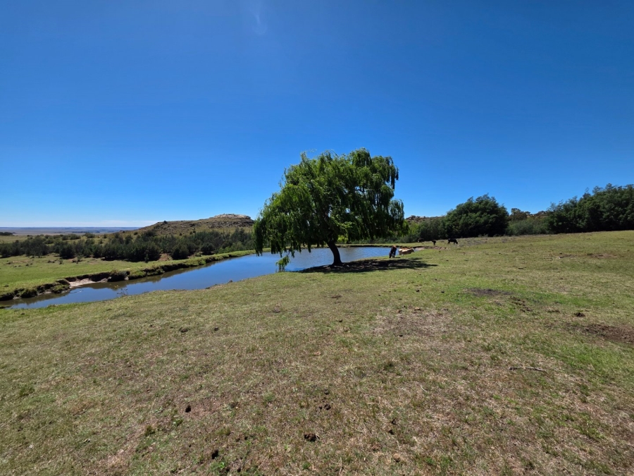 Commercial Property for Sale in Bethlehem Free State